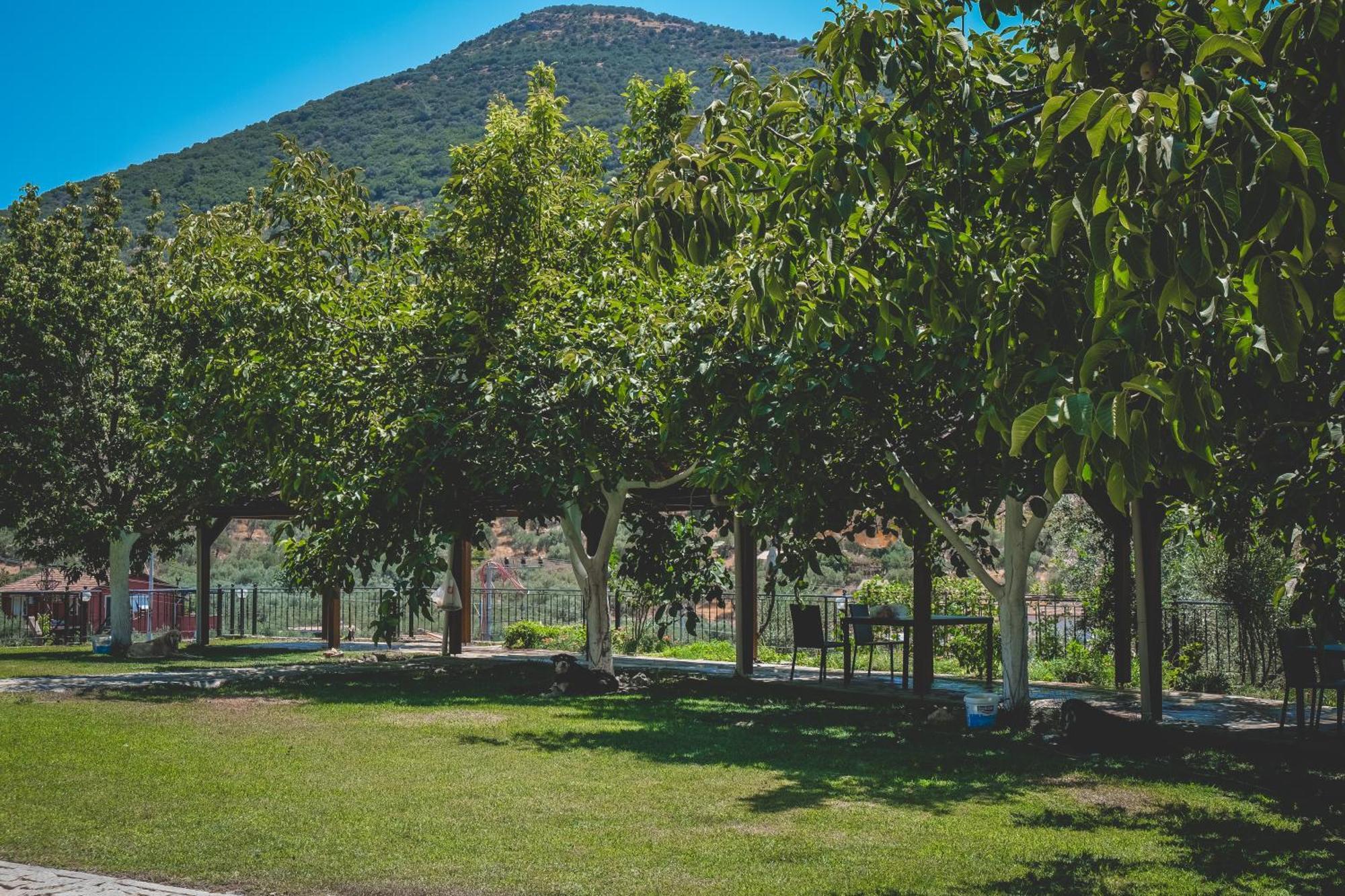Natureland Efes Pension Selcuk Exterior photo