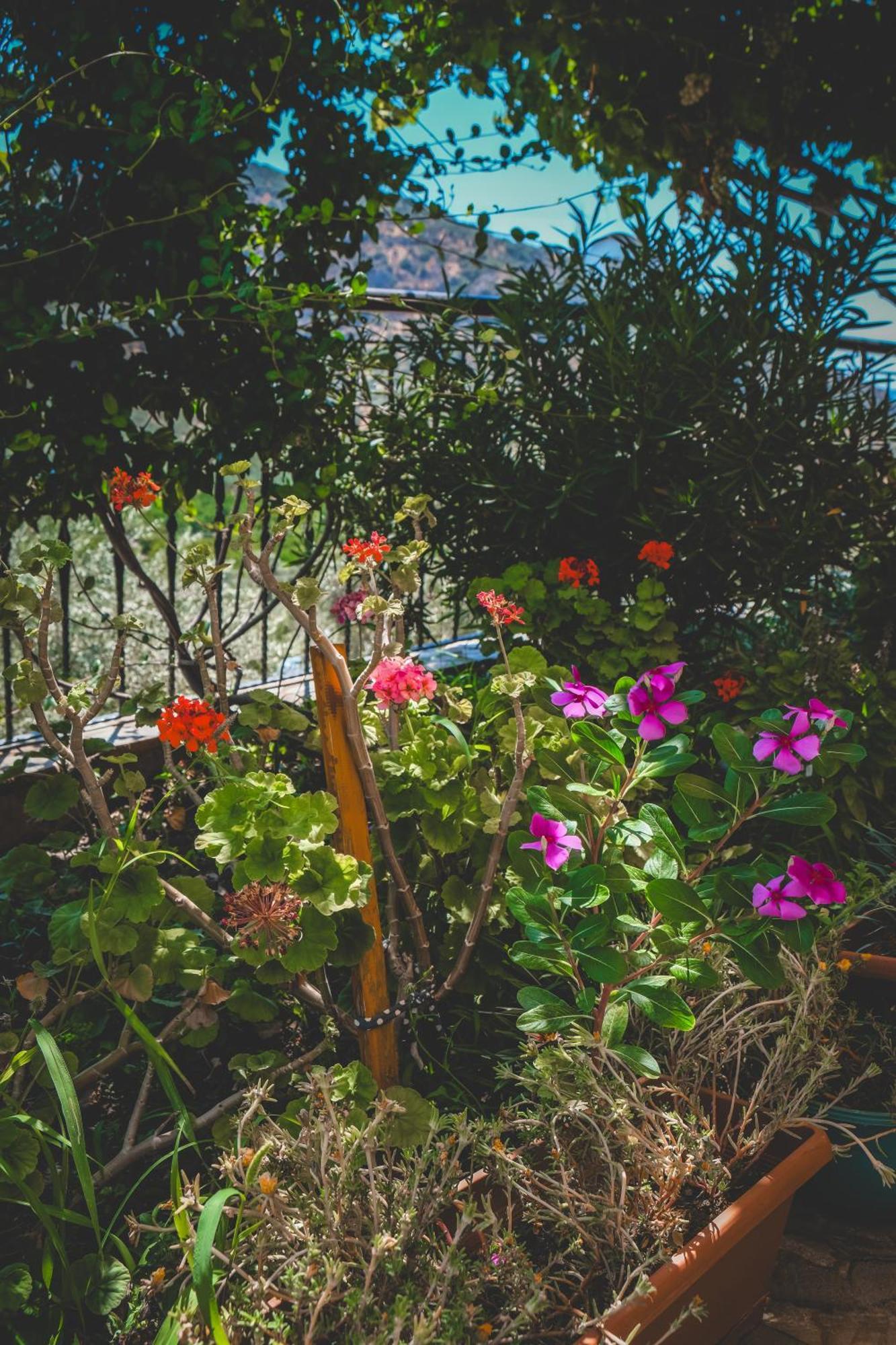 Natureland Efes Pension Selcuk Exterior photo