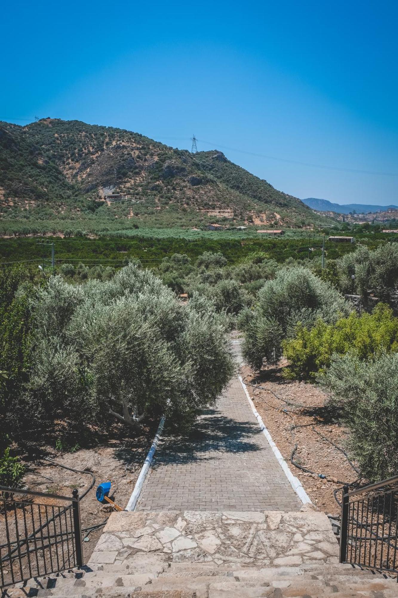 Natureland Efes Pension Selcuk Exterior photo