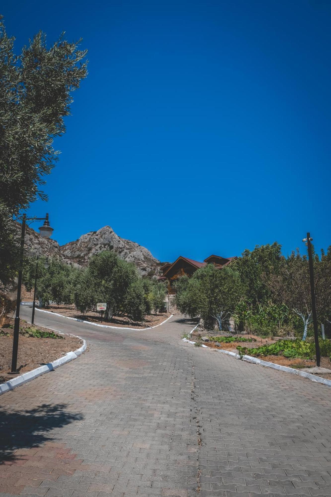 Natureland Efes Pension Selcuk Exterior photo